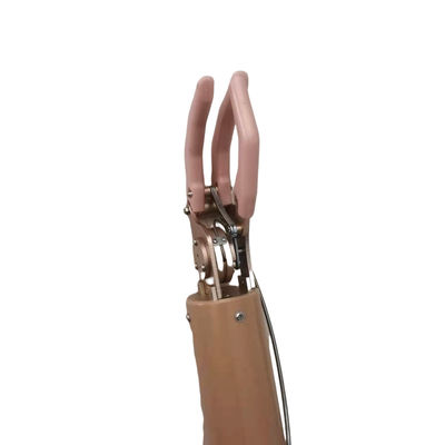 качество  350mm Upper Limb Prosthetic , Cable Control Mechnical Arm завод